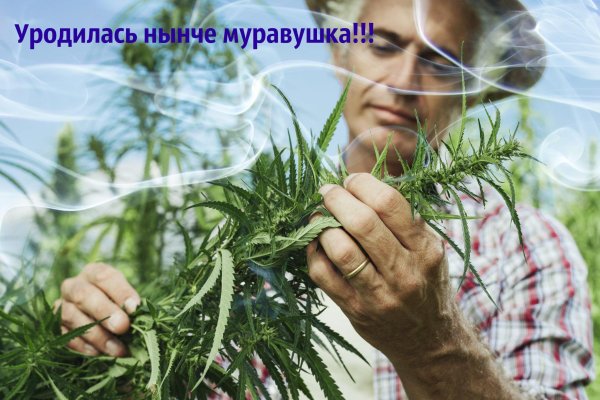Ссылка на кракен лукойл