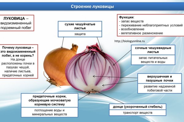 Кракен как зайти ссылка