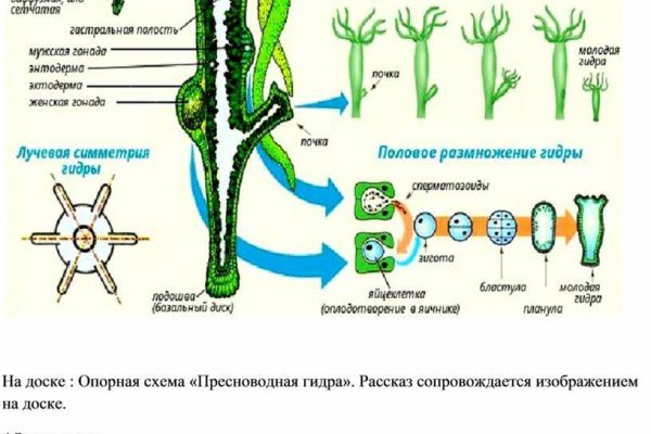 Логин и пароль от кракен