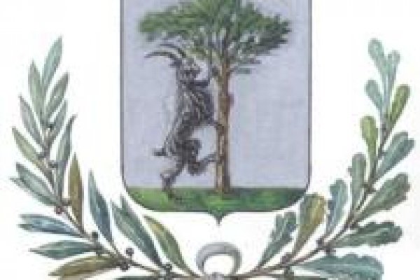 Кракен маркетплейс официальный сайт