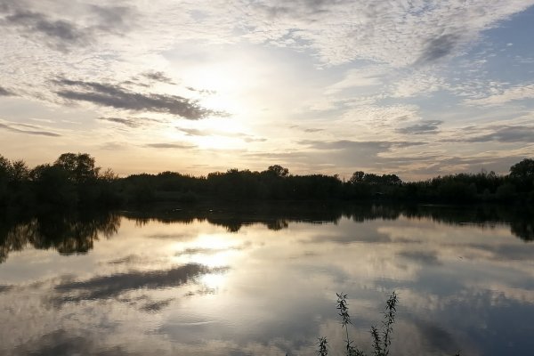 Кракен переходник ссылка