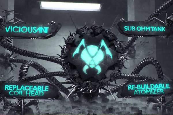 Kraken kraken link24 info