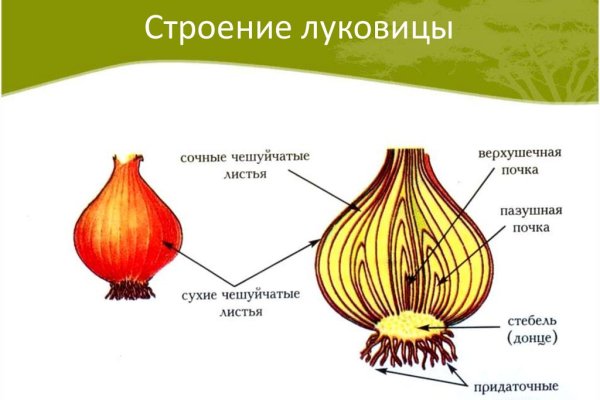 Кракен тор kr2web in